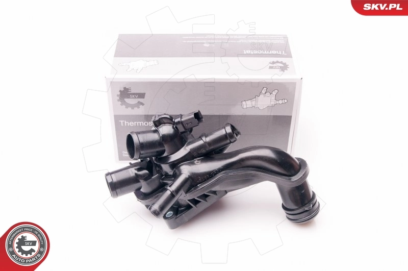 Thermostat, coolant